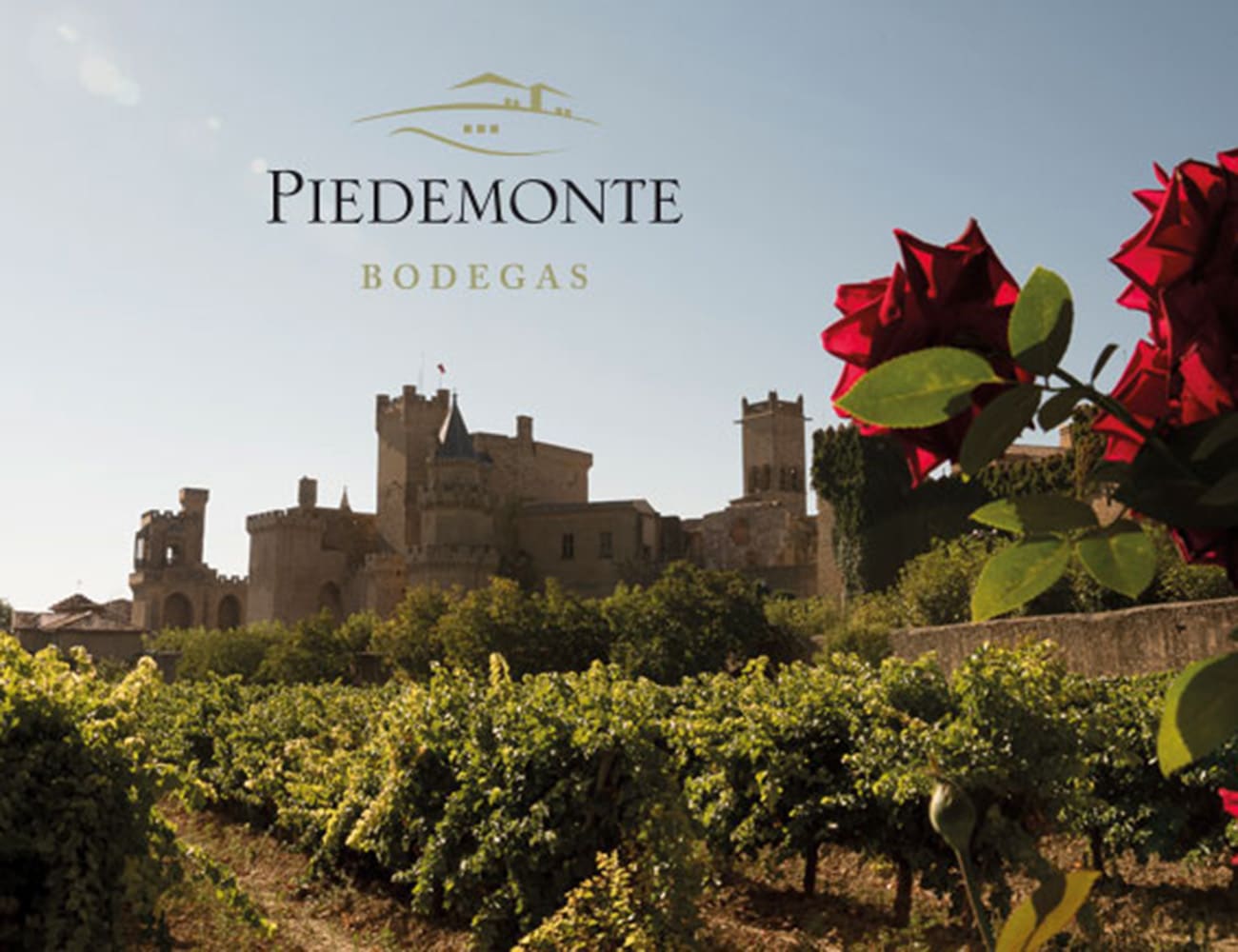piedemonte 1300 x 1000
